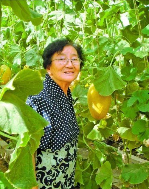顾颖吃瓜,揭秘娱乐圈背后的那些事儿