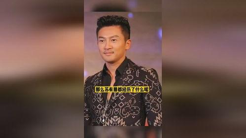 明星的故事苏有朋歌曲,从偶像到歌手，音乐之路的璀璨星光