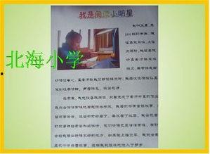 读书明星推荐材料,探索心灵成长的智慧之旅