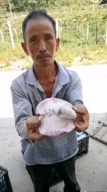 大叔给老婆吃瓜,温馨家庭生活剪影