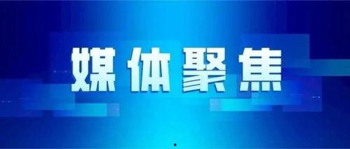 平安佳木斯头条号,聚焦城市安全动态，守护家园安宁