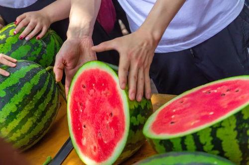 塔里木大学食堂吃瓜,美食体验尽享夏日清凉