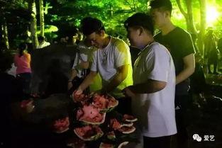 职业院校吃瓜事件,揭秘校园网络舆论风波