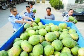 射阳网红吃瓜群微信,揭秘网络热点背后的故事