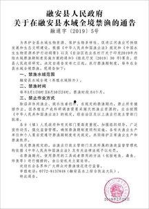 全境通告在线观看,揭秘未知世界的在线惊悚之旅