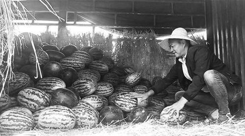 安靖吃瓜群众事件