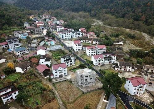 原阳县曹山村新闻头条,乡村振兴新篇章，绿色发展谱新篇