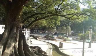 巧家大龙潭微头条,探寻云南深处的自然奇观与民族风情