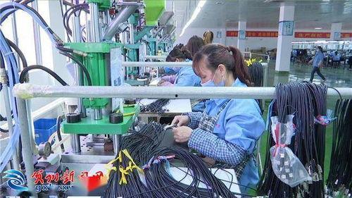 明星左俊杰,星光璀璨的演艺之路