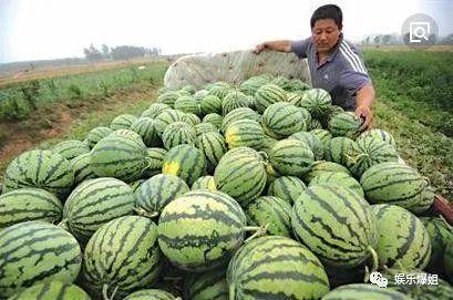 吃瓜怎样找,轻松找到热门话题的秘诀