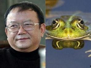 大明星青蛙,奇妙的音乐之旅