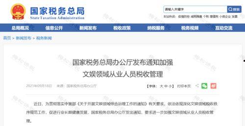 明星逃税个税税制,揭秘个税税制漏洞与应对策略