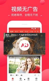 西瓜视频就叫做头条号吗,头条号背后的内容生态解析