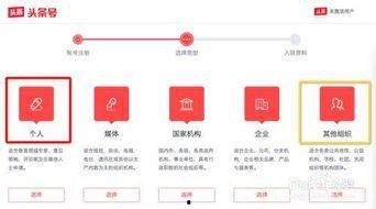 头条号公司信息怎么填,深度解析其发展历程与核心业务