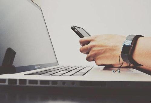 头条怎么查视频总播放量,如何轻松查询总播放量