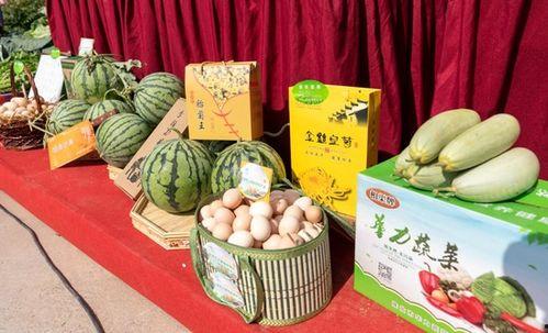 淮北银行吃瓜,揭秘金融圈内的“瓜田李下”风波