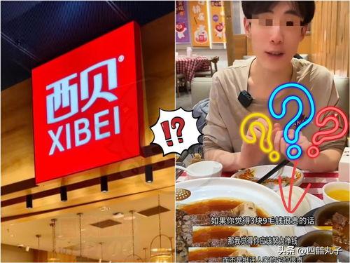 丸子头条,揭秘热门话题背后的真相与观点