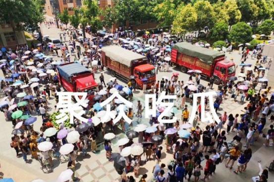 各大高校吃瓜合集,揭秘各大高校吃瓜合集背后的故事